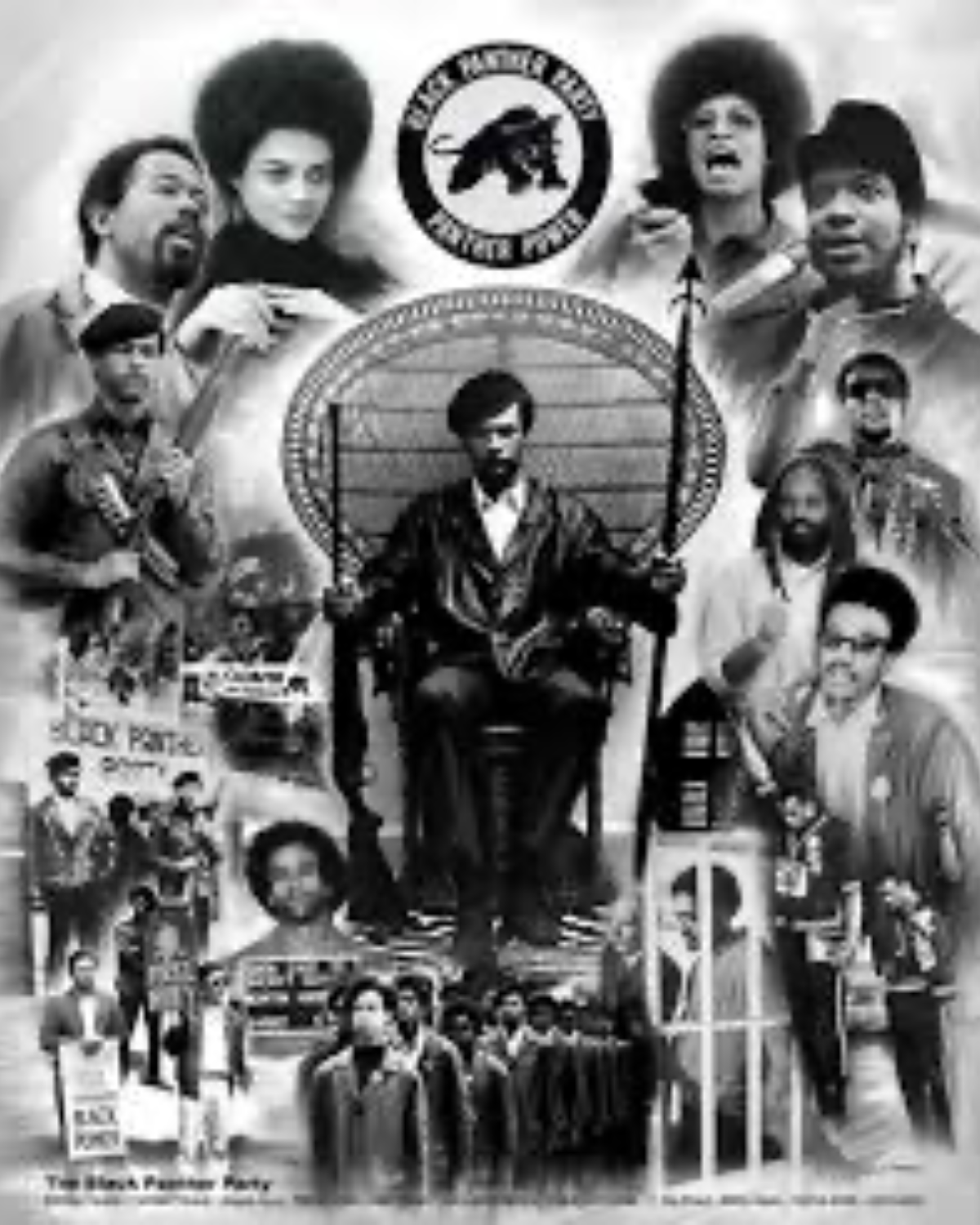 Black Panther Movement